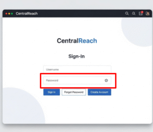 CentralReach Sign In